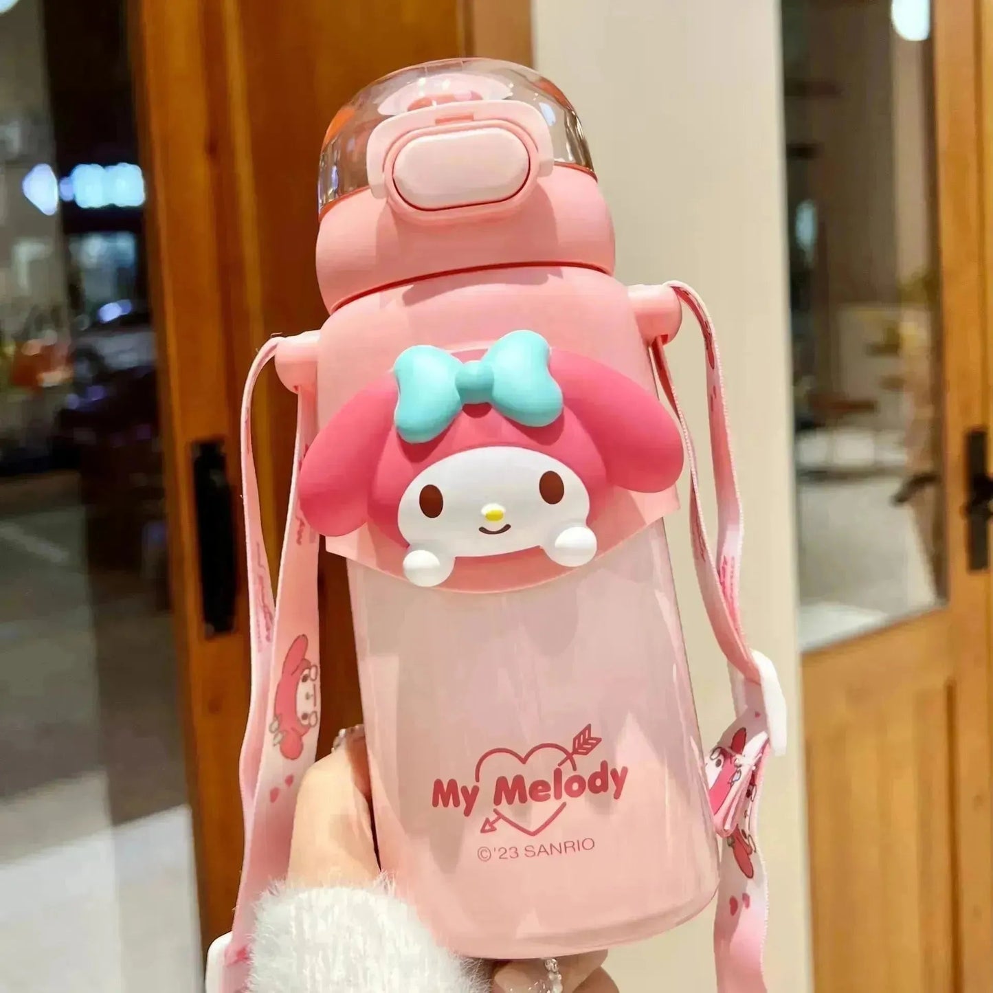 Sanrio Face Insulated Water Bottle - 460ML
