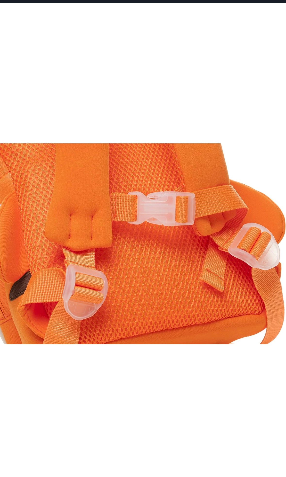 Lion Cub Kids Backpack