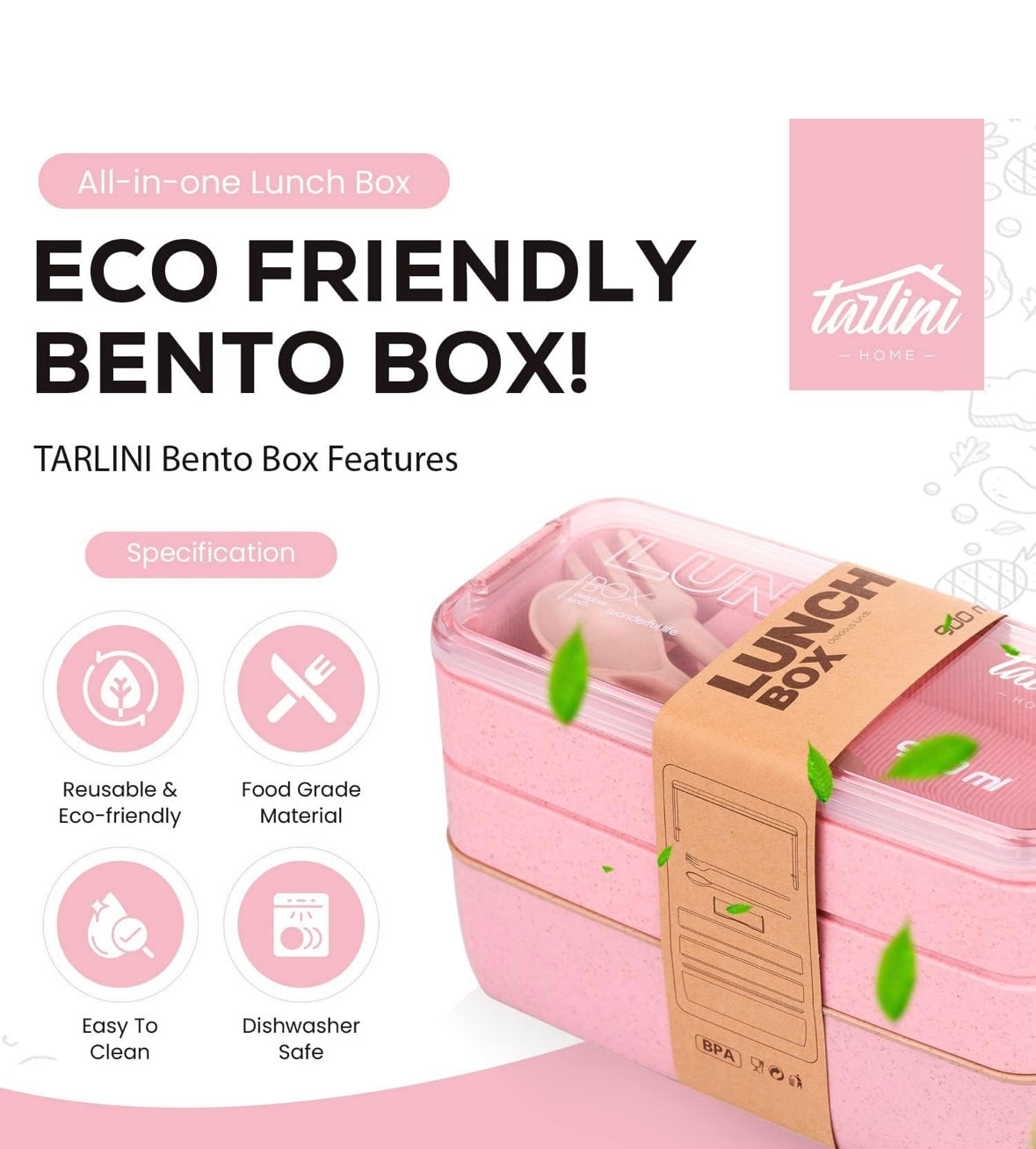 Vibrant Bento Box