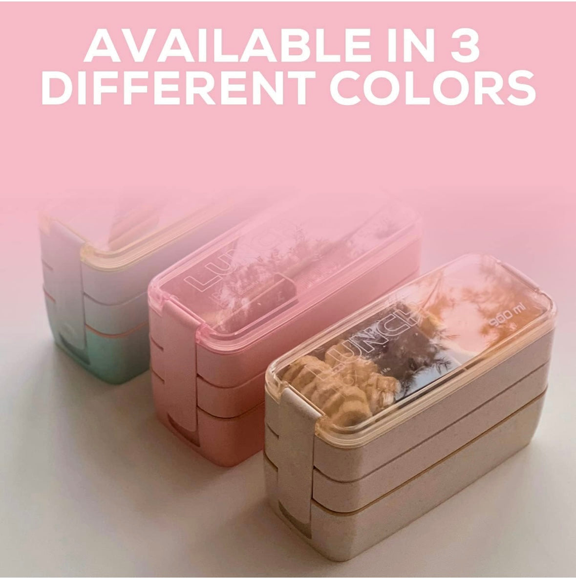 Vibrant Bento Box