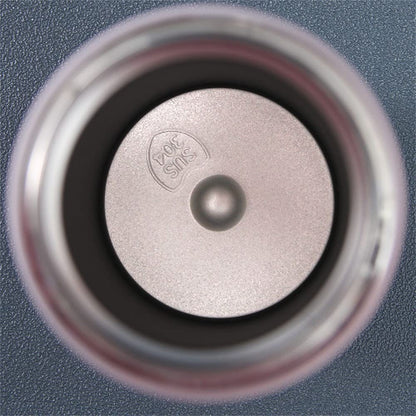 On-The-Go Stainless Steel Thermos Bottle