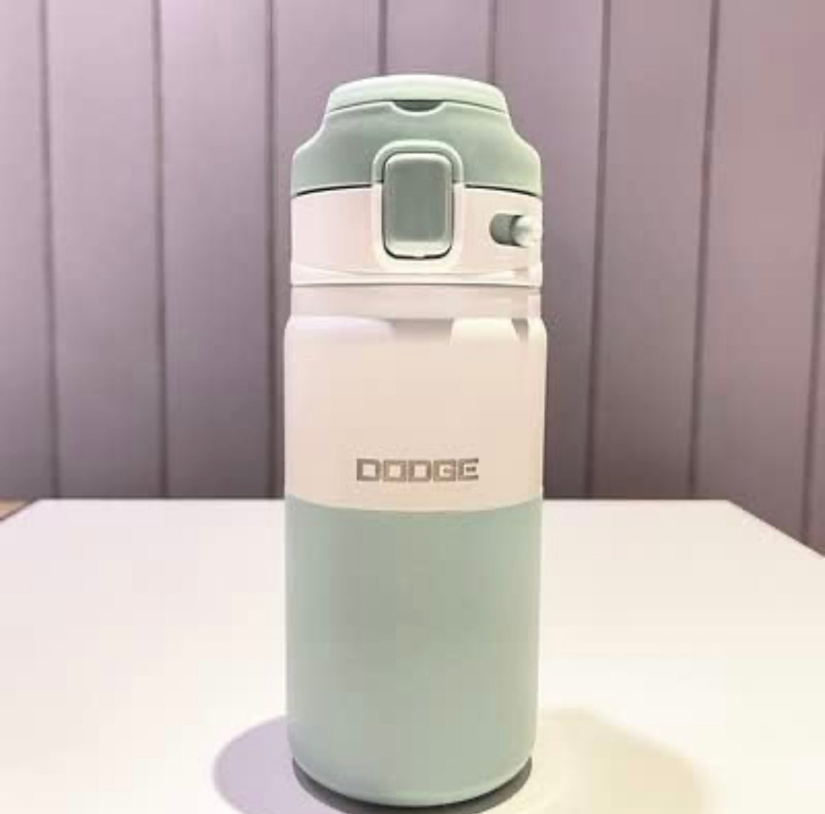 Double Water Wall Water Bottle