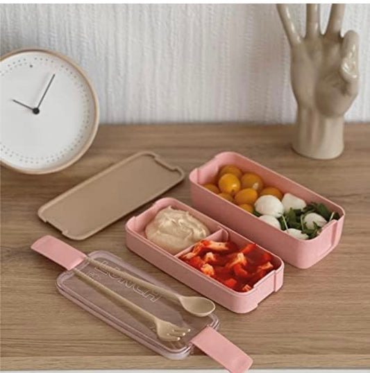 Vibrant Bento Box