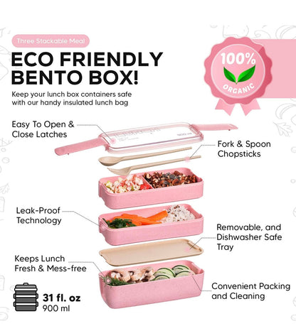 Vibrant Bento Box